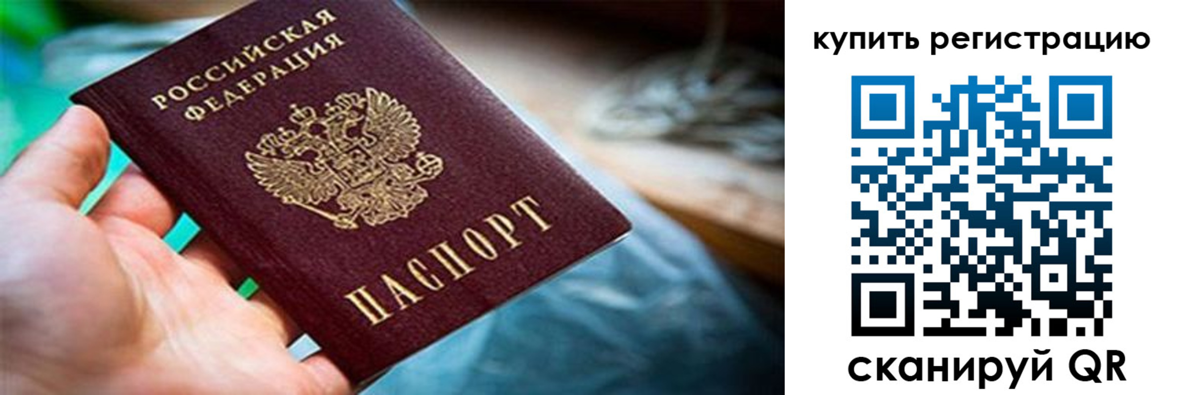 прописка гарантия в Апатитах